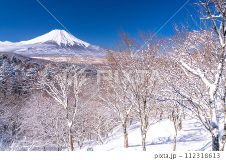《山梨県》冬の富士山・積雪の二十曲峠 112318613