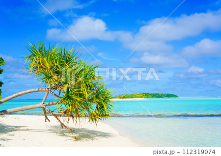 南国の美しいビーチと紺碧の空 南国の美しいビーチと紺碧の空 112319074