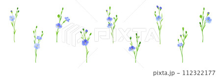 Blooming Flax Flower Plant with Green Stem Vector Set 112322177
