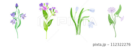 Purple Flower on Green Stem with Leaf as Meadow or Field Plant Vector Set Purple Flower on Green Stem with Leaf as Meadow or Field Plant Vector Set 112322276