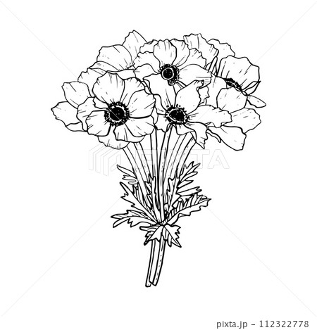 Elegant black and white bouquet of anemone flowers vector illustration. Field poppies for spring wedding design and coloring books 112322778