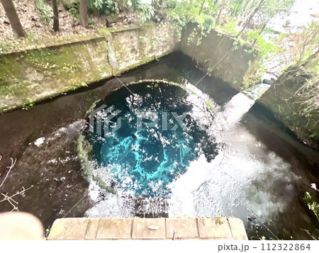 柿田川公園、第二展望台からみる湧水 112322864