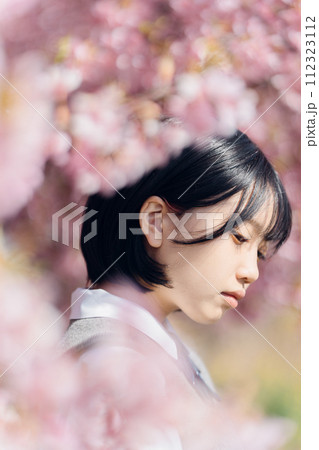 桜と女子高生 112323112