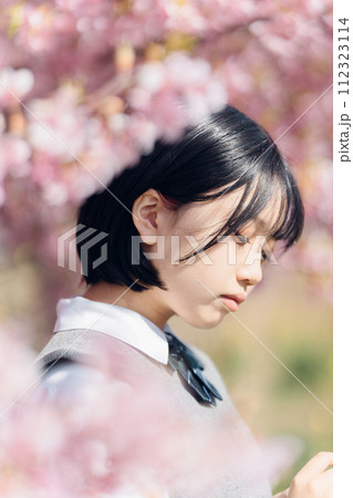 桜と女子高生 112323114