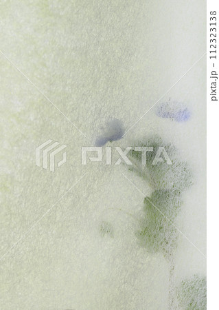 和紙とオオイヌノフグリのコラボ(背景素材) 和紙とオオイヌノフグリのコラボ(背景素材) 112323138