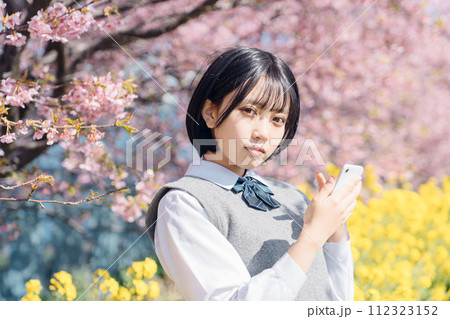 桜と女子高生 112323152