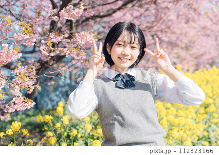 桜と女子高生 112323166