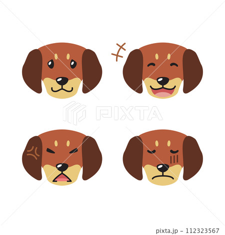 Set of cute character dachshund dog faces showing different emotions 112323567