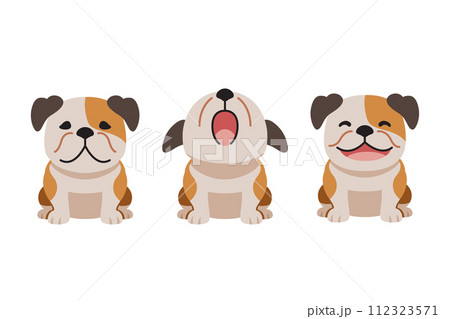 Set of vector cartoon character cute bulldog 112323571