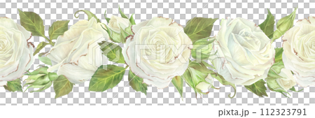 White Rose seamless Border. Watercolor illustration of wedding spring Flower. Hand drawn on isolated background. Drawing of vintage floral pattern. Painting of template frame for card and ribbons White Rose seamless Border. Watercolor illustration of wedding spring Flower. Hand drawn on isolated background. Drawing of vintage floral pattern. Painting of template frame for card and ribbons 112323791