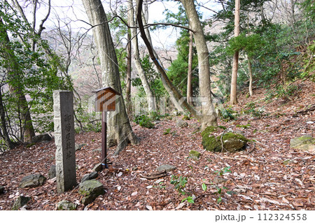 小谷城　御局屋敷址 112324558