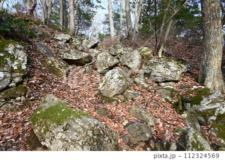 小谷城　山王丸石垣の破城跡 112324569