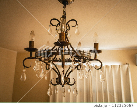 おしゃれな照明 112325067