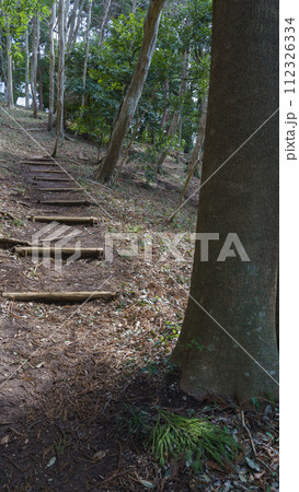山道の階段 山道の階段 112326334