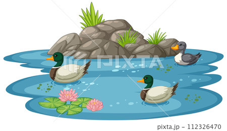 Ducks Enjoying a Peaceful Pond Scene Ducks Enjoying a Peaceful Pond Scene 112326470