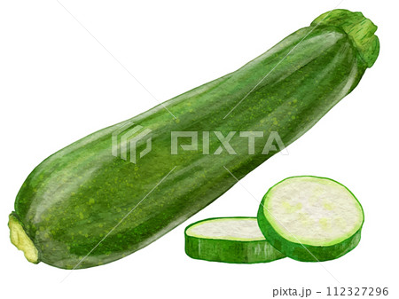 リアルでツヤツヤしたズッキーニ1本とカット2枚 112327296