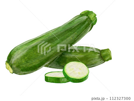 リアルでツヤツヤしたズッキーニ2本とカット2枚 112327300