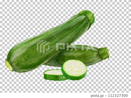 2 real and shiny zucchini and 2 slices 112327300