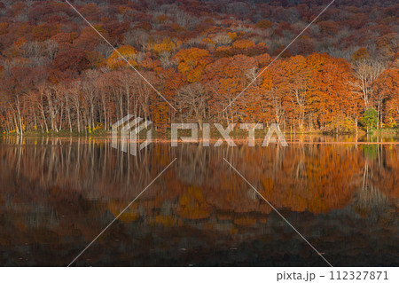 日本　青森県十和田市奥瀬蔦野湯にある蔦沼の水鏡に映る朝日に照らされた紅葉 112327871