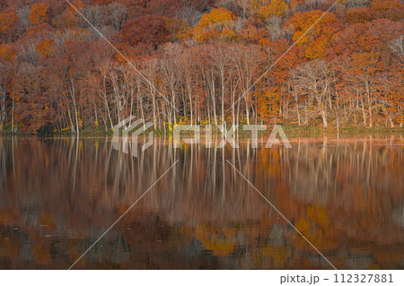 日本 青森県十和田市奥瀬蔦野湯にある蔦沼の水鏡に映る朝日に照らされた紅葉 日本 青森県十和田市奥瀬蔦野湯にある蔦沼の水鏡に映る朝日に照らされた紅葉 112327881