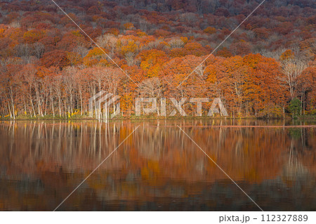 日本 青森県十和田市奥瀬蔦野湯にある蔦沼の水鏡に映る朝日に照らされた紅葉 日本 青森県十和田市奥瀬蔦野湯にある蔦沼の水鏡に映る朝日に照らされた紅葉 112327889