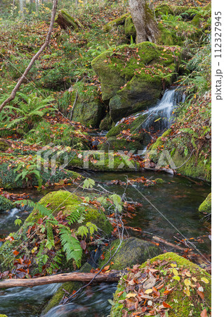 日本　青森県十和田市奥瀬蔦野湯にある湖沼郡、蔦七沼内にある鏡沼と紅葉 112327945