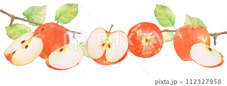 フレッシュなリンゴの水彩イラスト フレッシュなリンゴの水彩イラスト 112327958