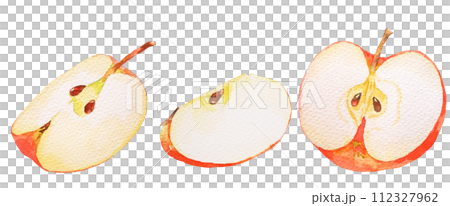 水彩畫蘋果的橫切面圖 水彩畫蘋果的橫切面圖 112327962