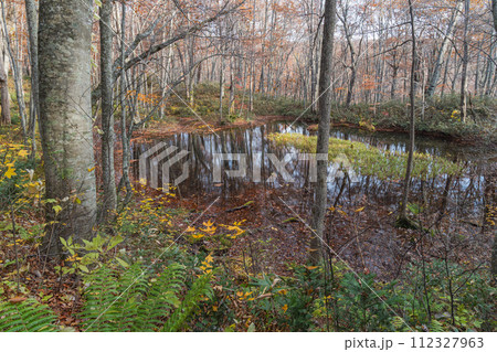 日本　青森県十和田市奥瀬蔦野湯にある湖沼郡、蔦七沼内にある鏡沼と紅葉 112327963