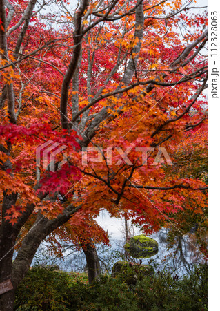 日本 青森県黒石市の虹の湖の紅葉 日本 青森県黒石市の虹の湖の紅葉 112328063
