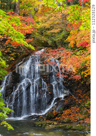 日本 青森県黒石市にある中野もみじ山の紅葉と不動の滝 日本 青森県黒石市にある中野もみじ山の紅葉と不動の滝 112328129