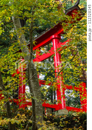 日本　青森県黒石市にある中野もみじ山の紅葉と中野神社の鳥居 112328145
