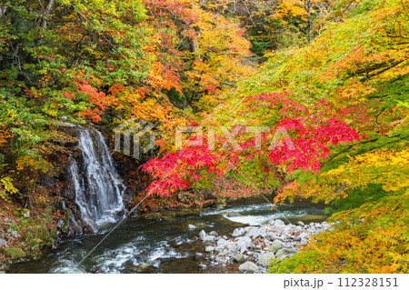 日本　青森県黒石市にある中野もみじ山の紅葉と不動の滝 112328151