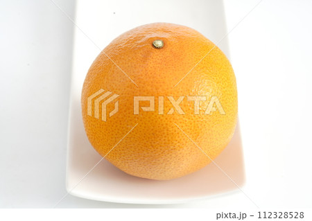 新鮮な果物 蜜柑 紅プリンセス 愛媛県産 新鮮な果物 蜜柑 紅プリンセス 愛媛県産 112328528
