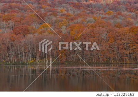 日本　青森県十和田市奥瀬蔦野湯にある早朝の蔦沼の水鏡に映る紅葉 112329162