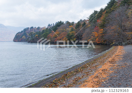 日本　青森県十和田市奥瀬十和田湖畔休屋の十和田湖と御前ヶ浜の紅葉 112329163