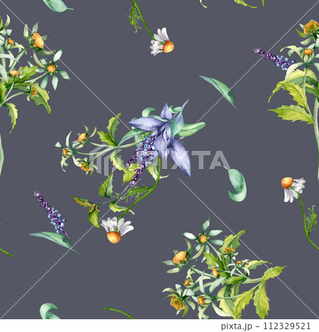 Sage herbal plant, bur-marigold watercolor seamless pattern isolated on dark background. Salvia, nettle, chamomile, daisy useful flowers hand drawn. Design for label, package, home textile, wrapping Sage herbal plant, bur-marigold watercolor seamless pattern isolated on dark background. Salvia, nettle, chamomile, daisy useful flowers hand drawn. Design for label, package, home textile, wrapping 112329521