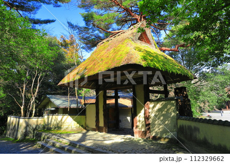 【三重県】晴天の俳聖殿（伊賀上野城） 112329662