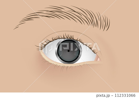 Human cyborg with camera inside eye. Vector illustration design. Realistic photographic equipment instead of eyeball 112331066