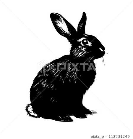 Sketch Realistic Rabbit Silhouette Illustration. Furry Easter Bunny 112331249