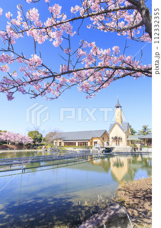 なばなの里　満開の河津桜とチューリップ 112332355