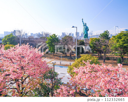 （東京都）早咲き桜咲いたお台場海浜公園 112332665
