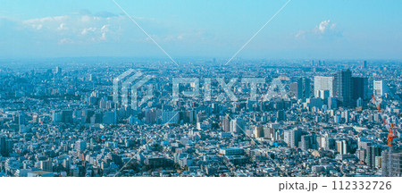 展望台から望む東京の風景、関東平野 112332726