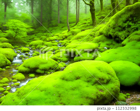 green moss on rocks 112332998