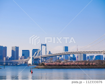 (東京都)お台場海浜公園から眺めるレインボーブリッジ (東京都)お台場海浜公園から眺めるレインボーブリッジ 112333076