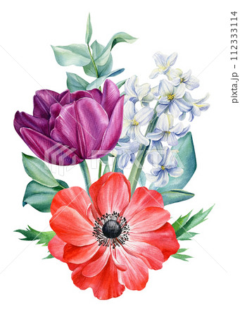 Spring flowers. Anemones, tulip, hyacinth on isolated white background. Watercolor Flower set, botanical illustration. 112333114