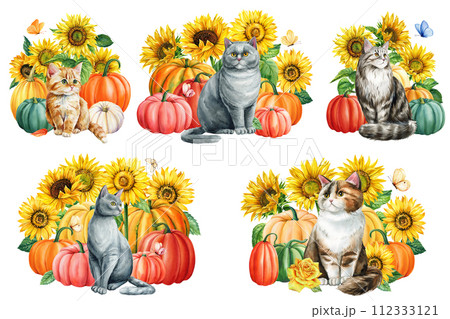 Watercolor cute sats and yellow flowers, sunflower pumpkin and butterflies set isolated white background, Autumn animal 112333121