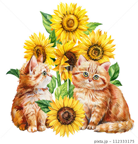 Watercolor cat and sunflowers on a white background, Autumn postcard with baby animal, flowers. Cute ginger kittens  112333175
