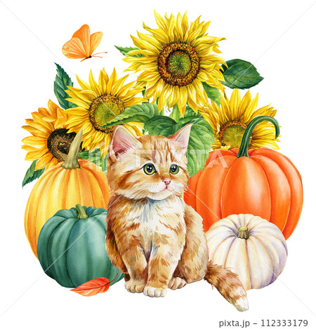 Watercolor cute ginger kitten and yellow flowers, sunflower pumpkin and butterflies isolated, Autumn postcard animal 112333179