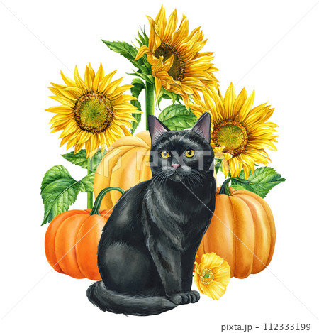 Watercolor black cat, pumpkin, sunflowers on white background, Autumn poster with animal, flowers. Cute kitten, flora 112333199